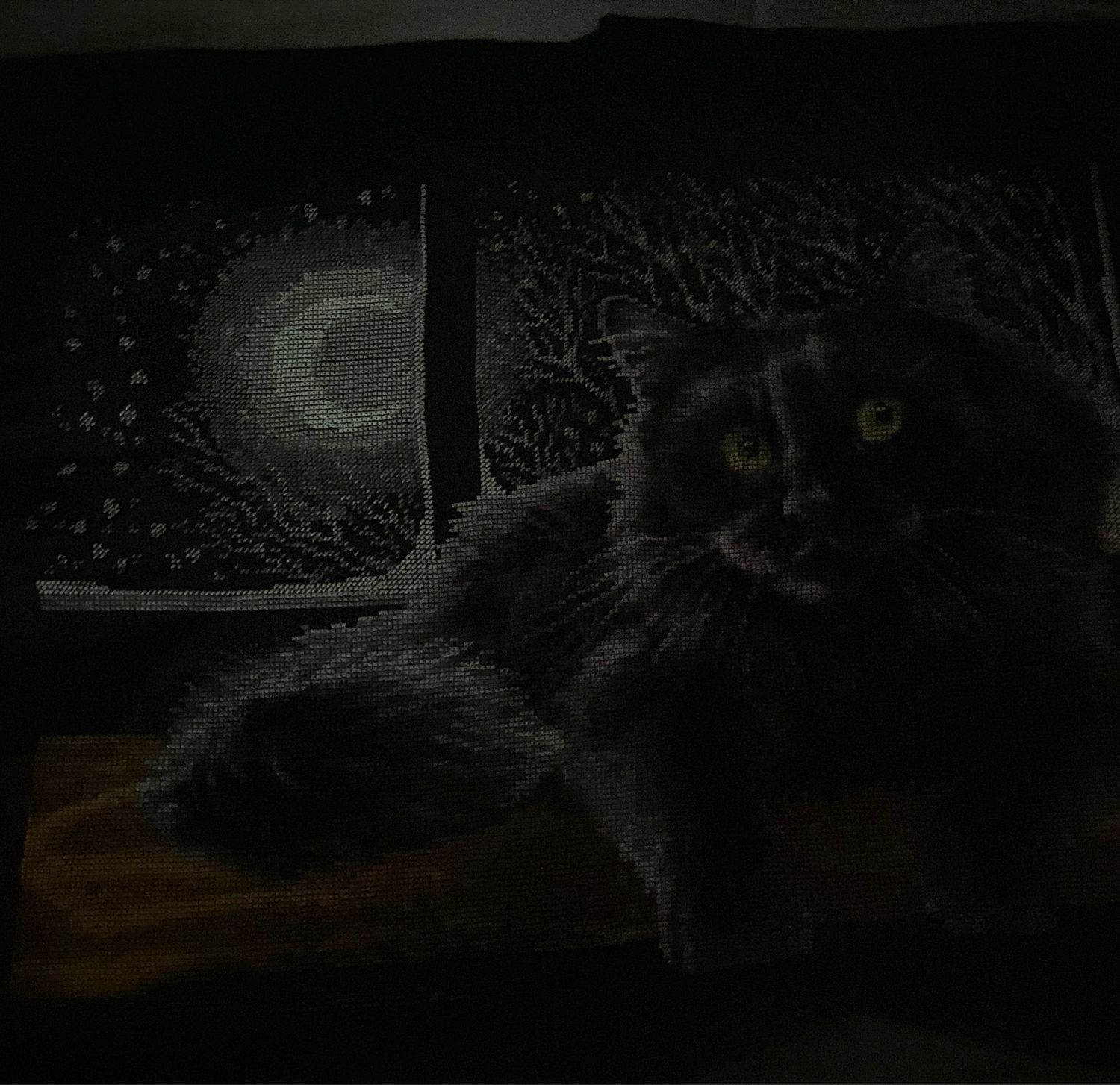 Вышивка «лунный кот» – купить онлайн на Ярмарке Мастеров – P4KDWRU ...