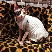 Одежда для кошек "Шубка - морозный узор"