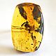 Amber ring with inclusions, Ring, Belokuriha,  Фото №1