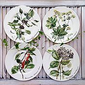 Посуда handmade. Livemaster - original item Painted porcelain Plates on the wall herb garden. Handmade.