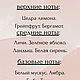 Ботаническая свеча РадостьLux, пион. Арома сувениры. РадостьLux. Ярмарка Мастеров.  Фото №5