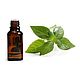 Basil Indian essential oil. Oil. For inventions. Online shopping on My Livemaster.  Фото №2
