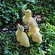 felted ducklings. Felted Toy. Anna Petinati- Live toys handmade. My Livemaster. Фото №5