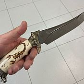 Knife Shark-2