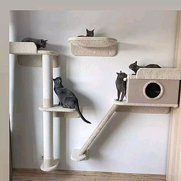 Настенные игровые комплексы для кошек