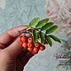 Brooch with Sorbus 'Autumn gems' from polymer clay. Brooches. Irina Luzanova. Online shopping on My Livemaster.  Фото №2