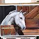 Order Pastel painting of a Horse (white brown black). Pastelena. Livemaster. . Pictures Фото №3
