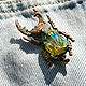 Brooch 'Fighting stag beetle' copper and lampwork. Brooches. BeautyGlassByKate(Lampwork) (beauty-glass). Online shopping on My Livemaster.  Фото №2