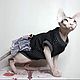 Одежда для кошек платье "Кружево". Одежда для питомцев. Happy-Sphynx. Интернет-магазин Ярмарка Мастеров.  Фото №2