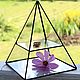 Jewelry box . Glass pyramid. Display. Chests. Glass Flowers. My Livemaster. Фото №5