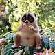 Лемур Лори – лори валяный из шерсти (Lemur Loris). Войлочная игрушка. Шерстяной Зоопарк Наталья Львова. Интернет-магазин Ярмарка Мастеров.  Фото №2