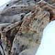 Шерстяной палантин, шарф экопринт, серо-коричневый. Шарфы. Мария Хабарова. Палантины, платки. Интернет-магазин Ярмарка Мастеров.  Фото №2