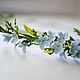 A Wreath Of Forget-Me-Nots, Hair Decoration, London,  Фото №1