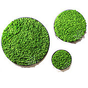 Картины и панно handmade. Livemaster - original item Round panels of moss 60cm,40cm,25cm - 5%!. Handmade.