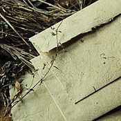 "Тени диких трав" - конверты и бумага ручной работы