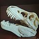 The skull of Tyrannosaurus, Model, Rostov-on-Don,  Фото №1
