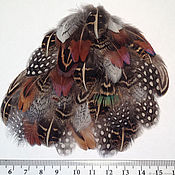 Микс перьев "КУК"- 8 шт. (длина перьев до 34 см!)