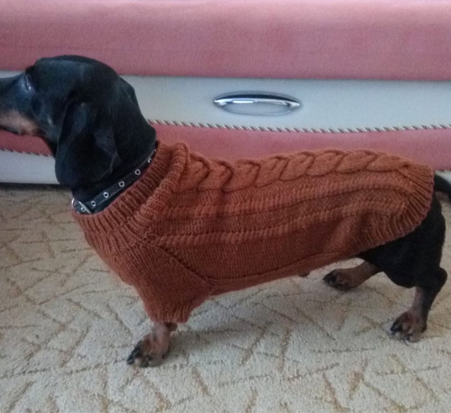 свитер для таксы