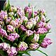Тюльпаны пионовидные Сорт на выбор Живые Цветы, Подарки на 8 марта, Москва,  Фото №1