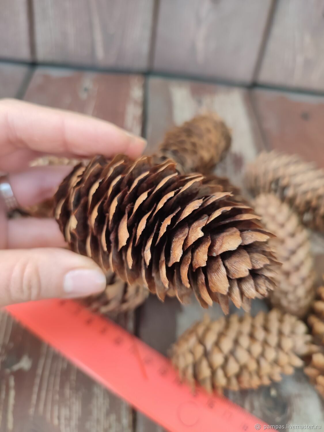 Шишки еловые в интернет-магазине Ярмарка Мастеров по цене 70 ...