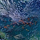 Autor 3D imagen de los Príncipes de los mares. Pictures. Vladimir Tarasov. Интернет-магазин Ярмарка Мастеров.  Фото №2