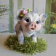 Свинка Мини-ПИГИ (карликовые свиньи), Мягкие игрушки, Зеленоград,  Фото №1