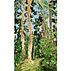 Pine painting 'Summer landscape', oil. Pictures. Lana Zaitceva. My Livemaster. Фото №5