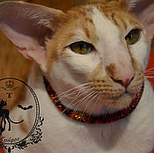Зоотовары handmade. Livemaster - original item Collar Bead "Red python" for a cat or dog. Handmade.