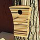 Скворечник. Кормушки для птиц. Сделано из дерева (Made of wood). Ярмарка Мастеров.  Фото №4