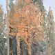 Картина, пейзаж. Масло, 30*40. Картины. Татьяна, картины, Екатеринбург. Ярмарка Мастеров.  Фото №5