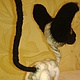 La esfinge - calvo gato gris y el siamés de color. Stuffed Toys. Lebedeva Lyudmila (knitted toys). Ярмарка Мастеров.  Фото №4