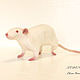 White rat. Felted Toy. SoftToysByElenaArt. My Livemaster. Фото №5