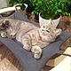 Cat hammock Soft gray. Pet Hammock. DogWood. Online shopping on My Livemaster.  Фото №2