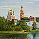Painting 'Novodevichy Monastery' 71,5 X 100 cm. Pictures. Zhaldak Eduard paintings. Online shopping on My Livemaster.  Фото №2