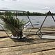 Флорариумы / разной формы, Витражи, Москва,  Фото №1