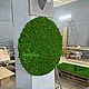Круг из мха. Фитокартины. Green.Box. Ярмарка Мастеров.  Фото №4