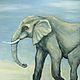 Oil painting 50h50 Elephant, Pictures, Moscow,  Фото №1