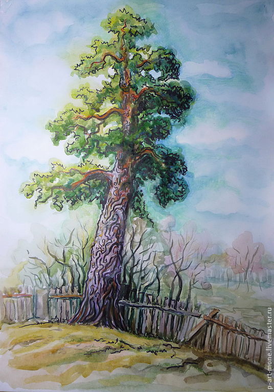 Рисунок сосны акварелью