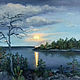 Order Evening on Ladoga lake. Priozersk. Oil. canvas. Original. Valeria Akulova ART. Livemaster. . Pictures Фото №3