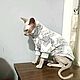 Clothing for cats 'Super zig-zag Fur coat'. Pet clothes. Happy-sphynx. Online shopping on My Livemaster.  Фото №2