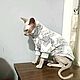 Одежда для кошек "Шубка супер зиг-заг". Одежда для питомцев. Happy-Sphynx. Интернет-магазин Ярмарка Мастеров.  Фото №2