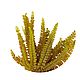 Стабилизированный Папортник "Felci Fern Olive Green". Цветы сухие и стабилизированные. Flority. Интернет-магазин Ярмарка Мастеров.  Фото №2