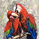 Macaw parrots, a couple in love, a picture with birds. Pictures. myfoxyart (MyFoxyArt). Online shopping on My Livemaster.  Фото №2
