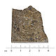 Метеорит Jikharra 001. Камни. MeteoritеStyle. Ярмарка Мастеров.  Фото №5