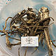 Marshmallow medicinal root (Althaéa officinalis) from 50 g. Grass. dar22. Online shopping on My Livemaster.  Фото №2
