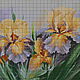 Set for embroidery with beads of 'Yellow Irises'. Embroidery kits. Beaded embroidery from Laura. Online shopping on My Livemaster.  Фото №2