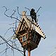 Скворечник, избушка "Осенняя сказка - 2". Кормушки для птиц. Звезда Уссури. Ярмарка Мастеров.  Фото №6