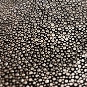 Материалы для творчества handmade. Livemaster - original item The skin of the sea stingray is polished, dimensions 40/77 cm, gray color.. Handmade.