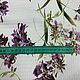 Хлопковый жаккард пике, производства Италии. Ткани. Итальянские ткани. Ярмарка Мастеров.  Фото №4
