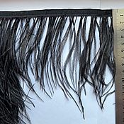 Trim of ostrich feathers 10-15 cm beige